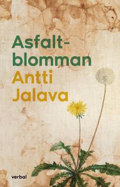 Antti Jalava: Asfaltblomman (Hardcover, Swedish language, 2024, Verbal förlag)