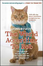 James Bowen: Bobin maailma (AudiobookFormat, Finnish language, 2015, Celia)
