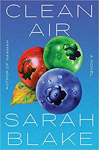 Sarah Blake: Clean Air (2022, Algonquin Books of Chapel Hill)