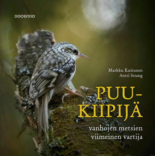 Markku Kuitunen, Antti Strang: Puukiipijä - Vanhojen metsien viimeinen vartija (Hardcover, Docendo)