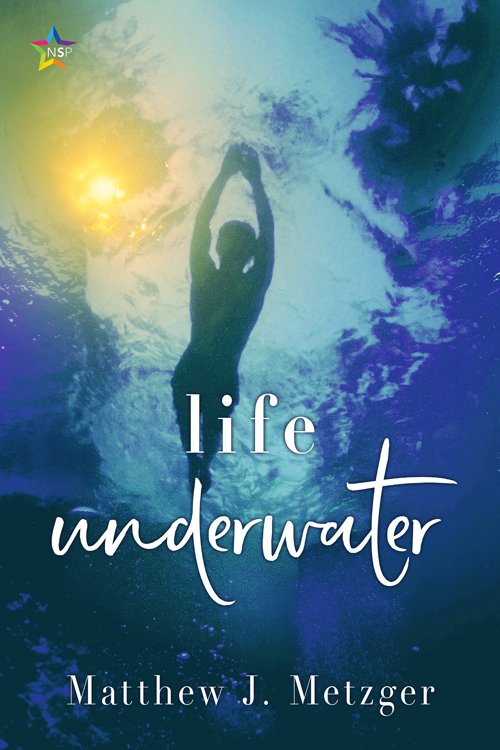 Matthew J. Metzger: Life Underwater (Paperback, Nine Star Press)