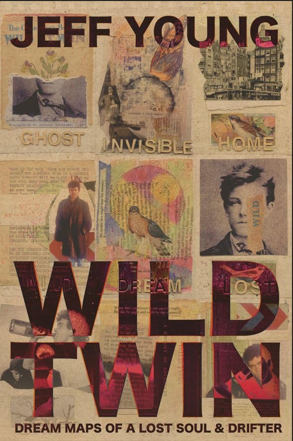 Wild Twin (Hardcover, 2024, Dovecote Press, The)