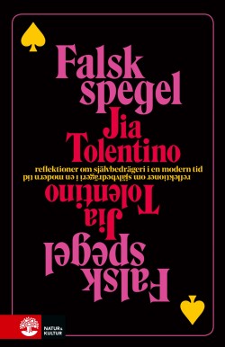 Hillevi Jonsson: Falsk spegel (Hardcover, Swedish language, 2020, Natur & Kultur)
