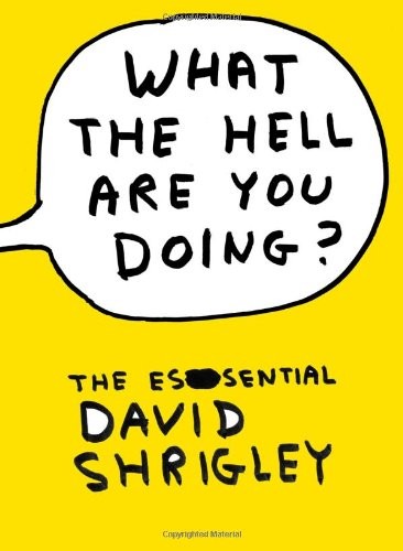 David Shrigley: What the Hell Are You Doing? (Hardcover, Canongate Books)