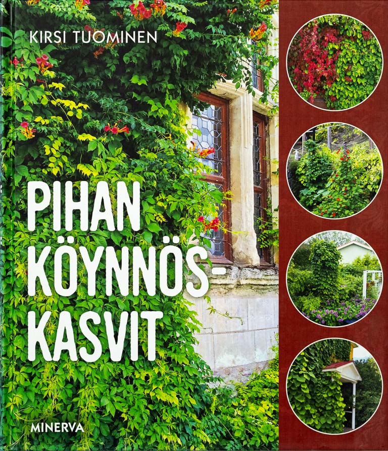 Kirsi Tuominen: Pihan köynnöskasvit (Hardcover, 2017, Minerva)