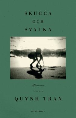Skugga och svalka (Hardcover, Swedish language, 2021, Norstedts)
