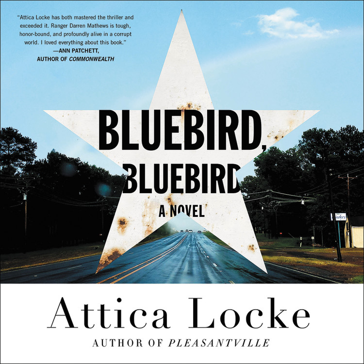 Attica Locke: Bluebird, Bluebird (AudiobookFormat, 2017, Hachette Audio)