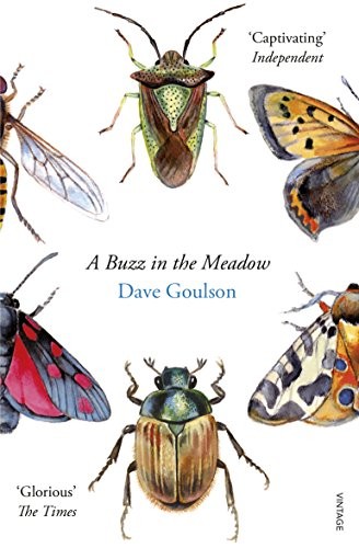 Dave Goulson: A Buzz in the Meadow (Paperback, 2015, Vintage Books)