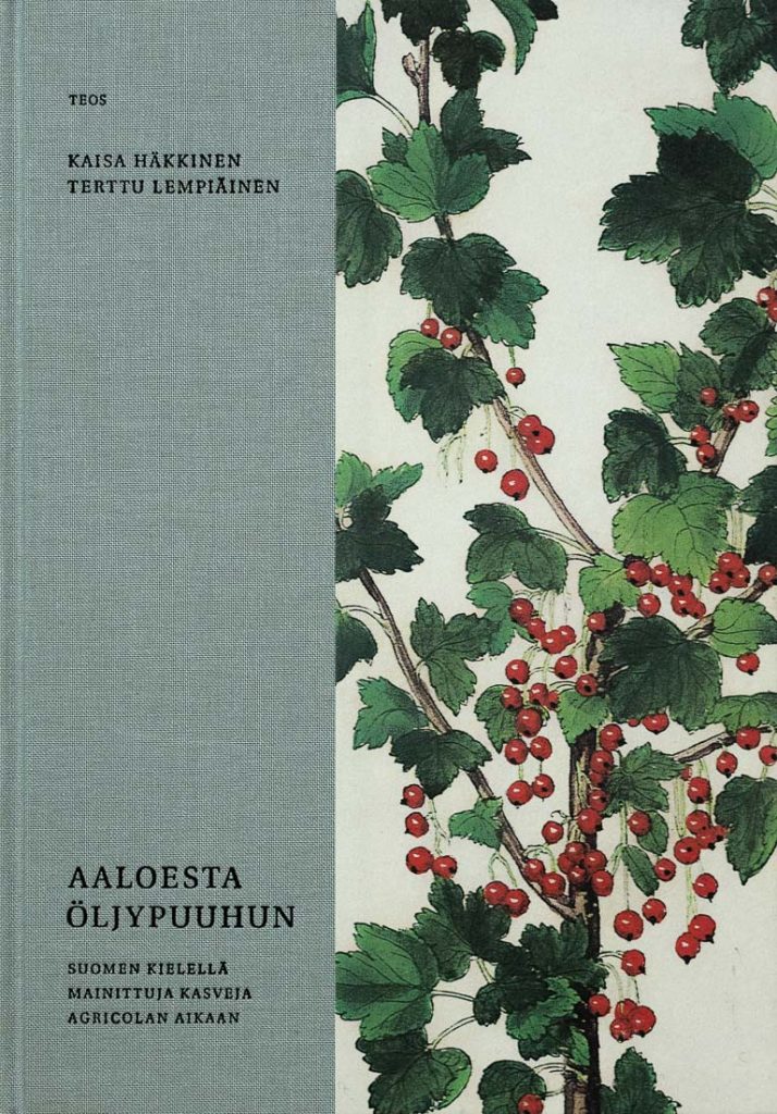 Kaisa Häkkinen, Terttu Lempiäinen: Aaloesta öljypuuhun (Hardcover, Kustannusosakeyhtiö Teos)