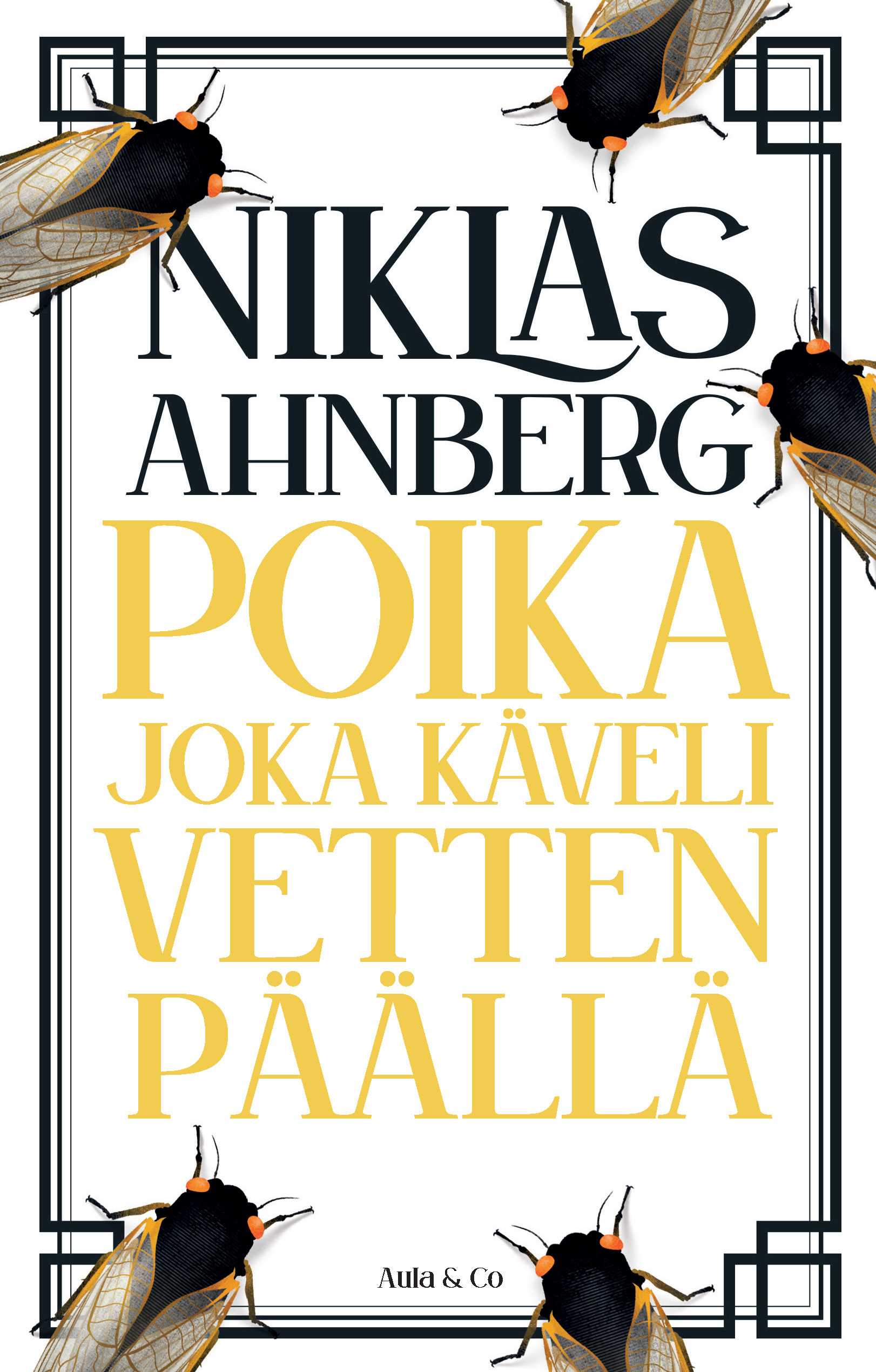 Niklas Ahnberg: Poika joka käveli vetten päällä (AudiobookFormat, suomi language, Aula & Co.)