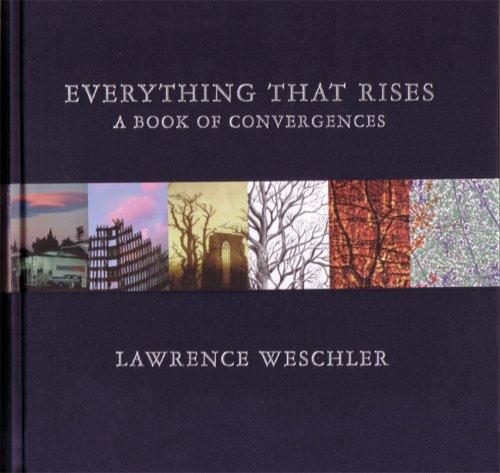 Lawrence Weschler: Everything That Rises (Paperback, 2007, McSweeney's)