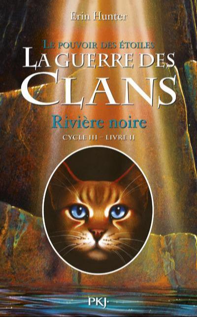 Erin Hunter: La Guerre des Clans : Le Pouvoir des étoiles (French language, 2012, Pocket Jeunesse)