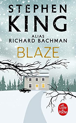 Stephen King: Blaze (Paperback, Livre de Poche)