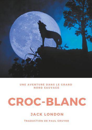 Jack London, Roger Dressler: Croc-Blanc : une aventure dans le Grand Nord sauvage (French language, 2019)