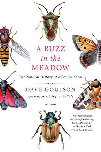 Dave Goulson: A Buzz in the Meadow (Paperback, 2016, Picador)