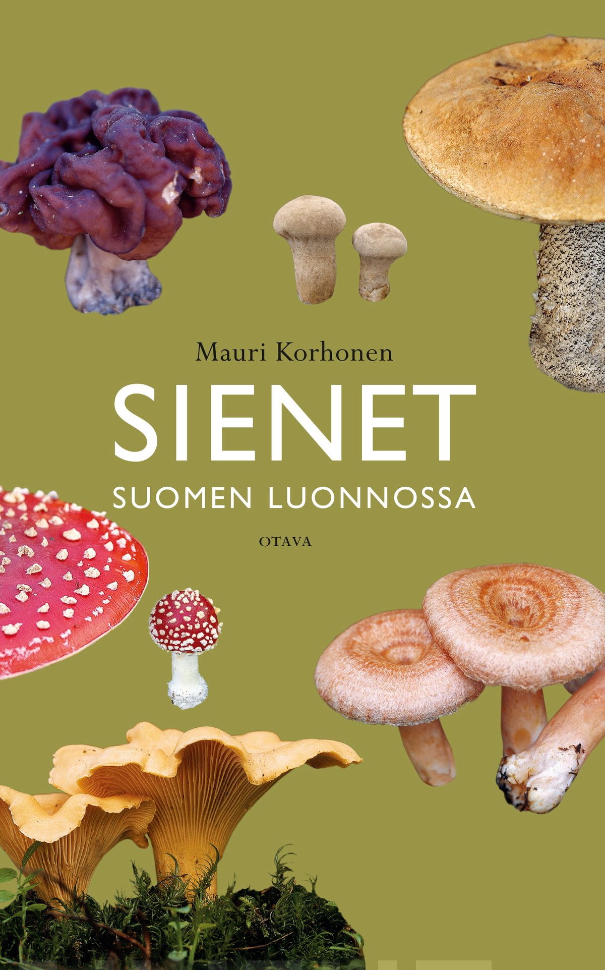 Sienet Suomen luonnossa (Paperback, Finnish language, Otava)
