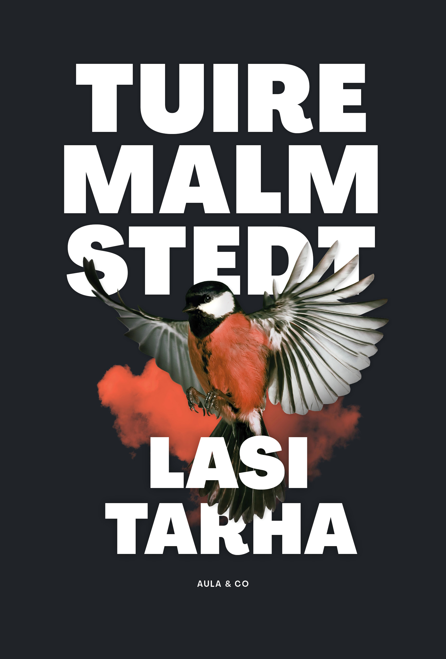 Tuire Malmstedt: Lasitarha (Hardcover, Finnish language, 2021, Aula & Co)