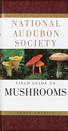 Gary Lincoff: The Audubon Society field guide to North American mushrooms (1994, Knopf, Distributed by Random House)