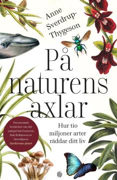 Helena Sjöstrand Svenn, Per Dybvig: På naturens axlar (Hardcover, Swedish language, 2021, Volante)