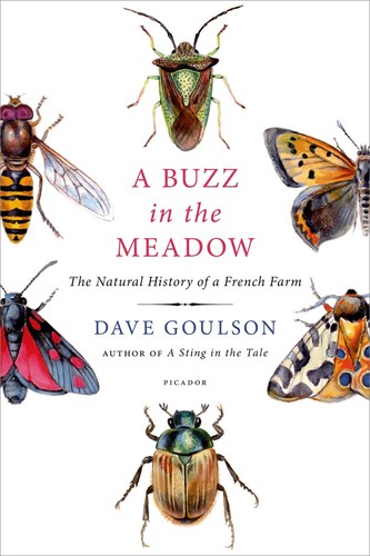 Dave Goulson: A Buzz in the Meadow (Hardcover, 2015, Picador)