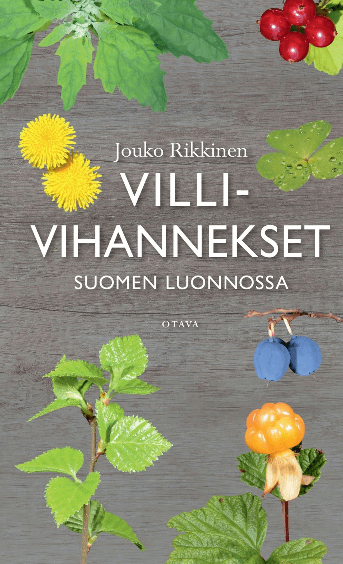 Jouko Rikkinen: Villivihannekset Suomen luonnossa (Paperback, Finnish language, 2018, Otava)