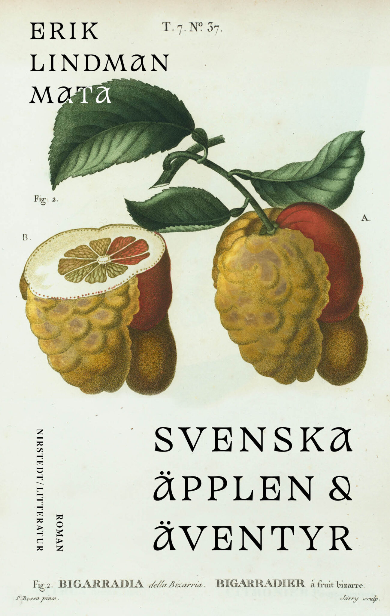 Erik Lindman Mata: Svenska äpplen & äventyr (Hardcover, Swedish language, Nirstedt/litteratur)