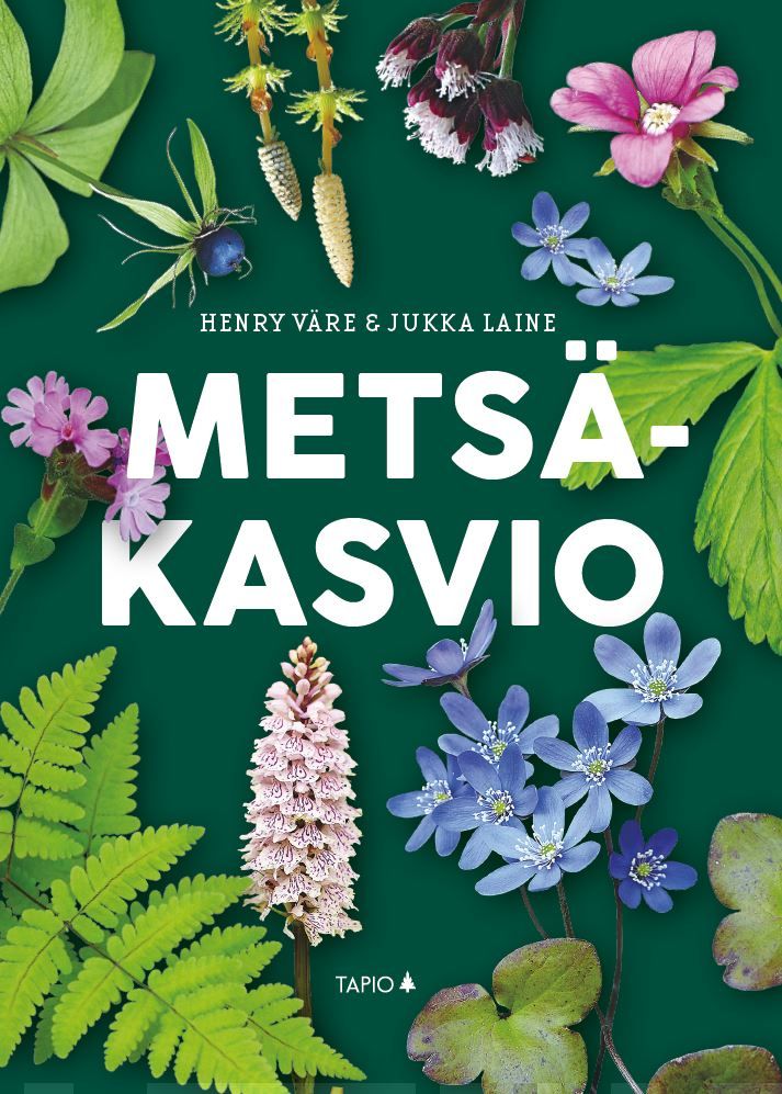 Henry Väre, Jukka Laine: Metsäkasvio (Paperback, Finnish language, 2022, Tapio)