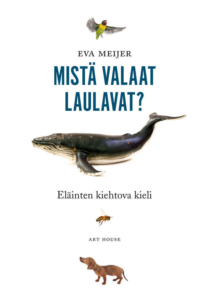 Eva Meijer, Mari Janatuinen: Mistä valaat laulavat? – eläinten kiehtova kieli (Hardcover, Art House)