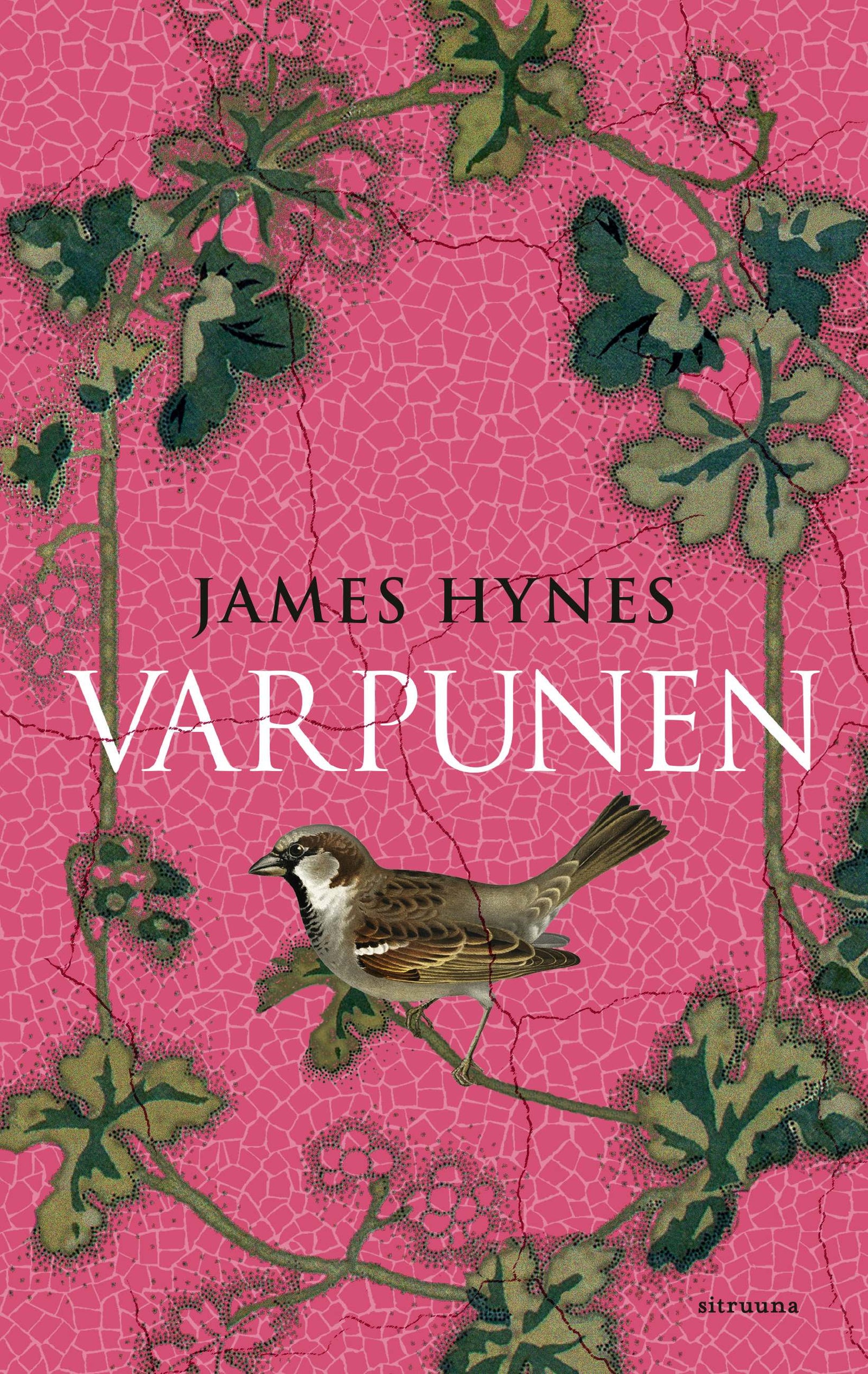 James Hynes: Varpunen (EBook, Finnish language, 2024, Sitruuna)