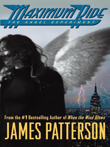 James Patterson: The Angel Experiment (EBook, 2005, Orbit)