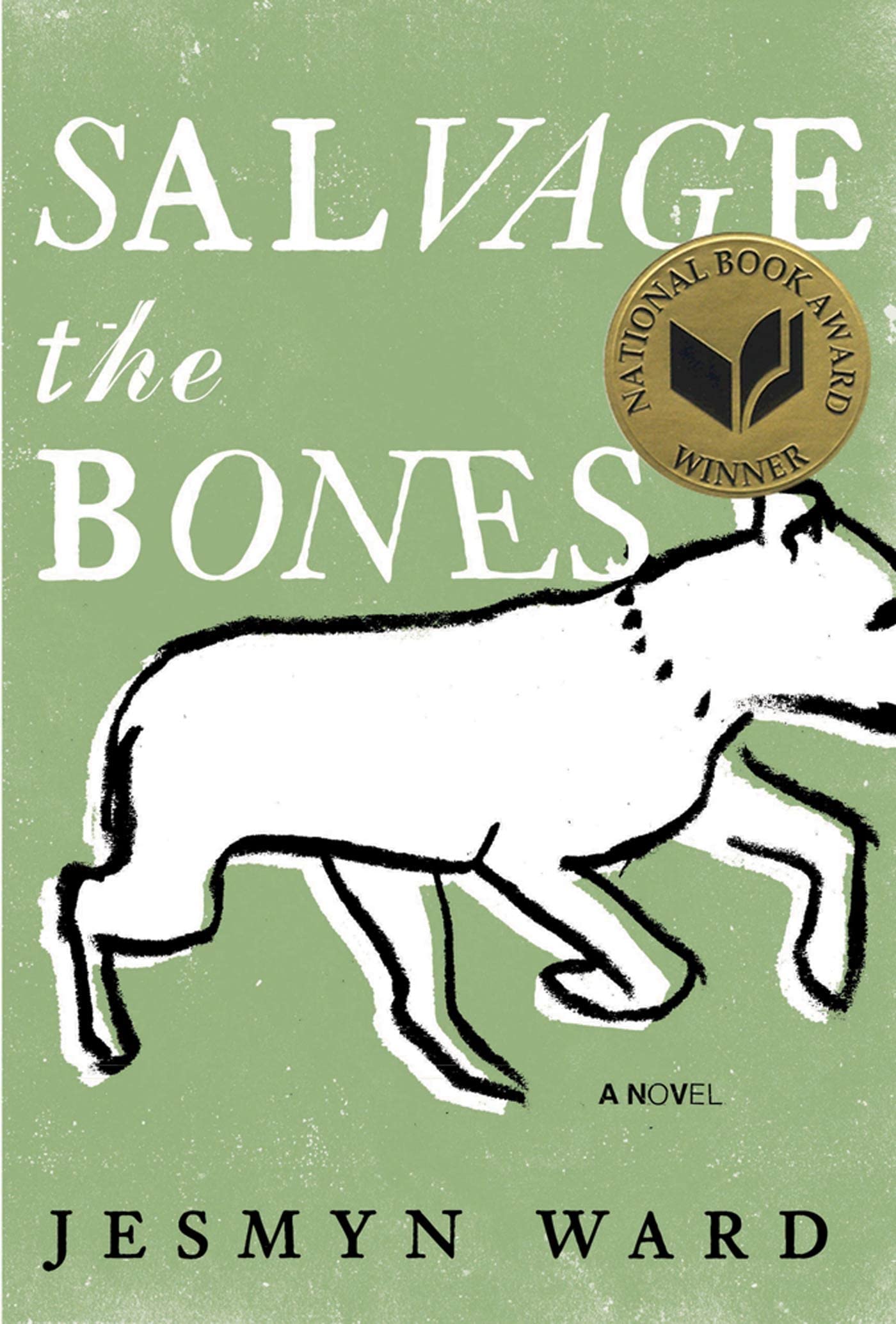 Jesmyn Ward: Salvage the Bones (Hardcover, 2011, Bloomsbury)